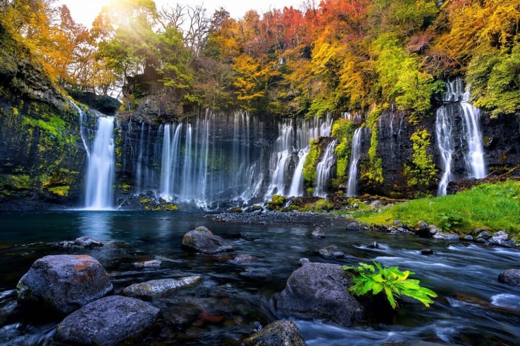 Nature